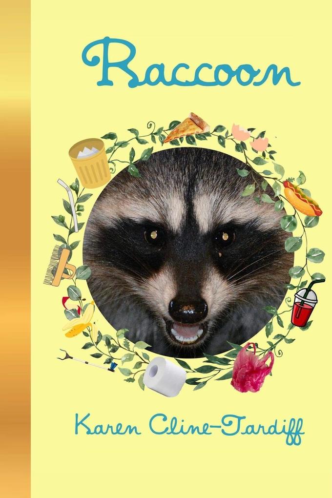 Raccoon