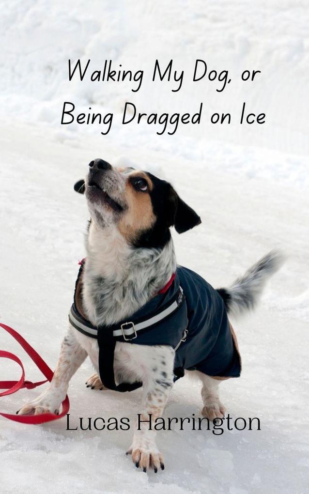 Walking My Dog or Being Dragged on Ice