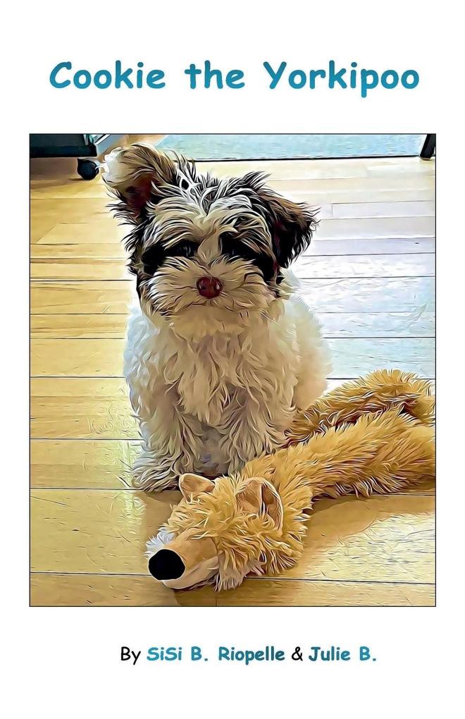 Cookie the Yorkipoo