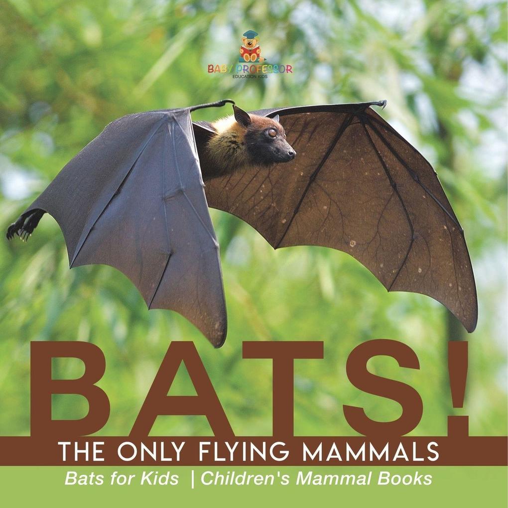 BATS! The Only Flying Mammals | Bats for Kids | Children's Mammal Books