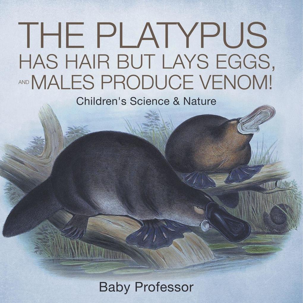The Platypus Has Hair but Lays Eggs and Males Produce Venom! | Children's Science & Nature