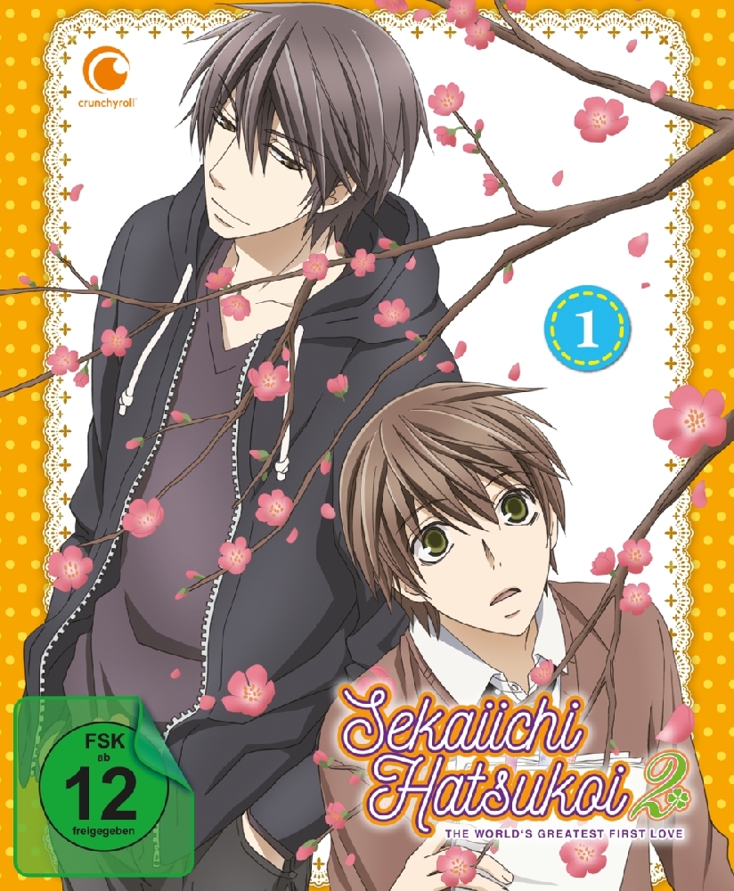 Sekaiichi Hatsukoi.Staffel.21 Blu-ray