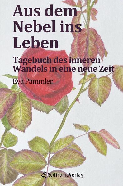 Aus dem Nebel ins Leben