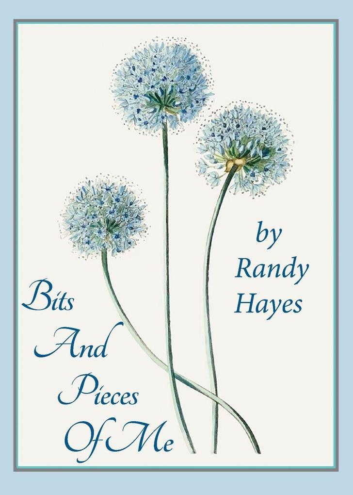 Bits And Pieces Of Me