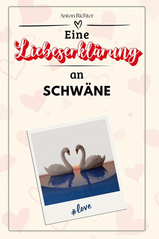 Eine Liebeserklärung an Schwäne