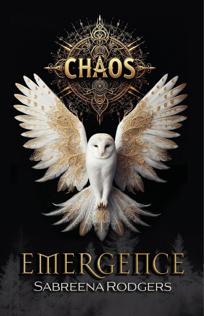 Chaos Emergence