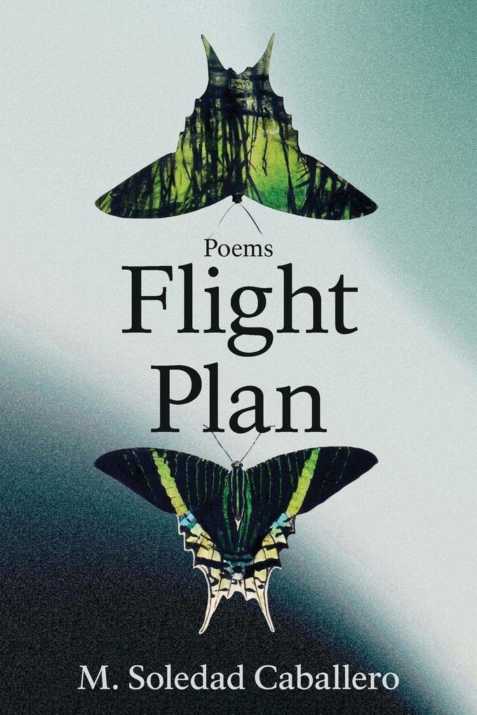 Flight Plan