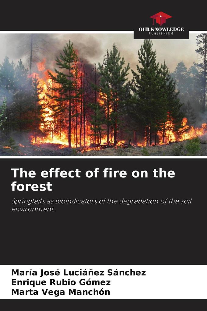 The effect of fire on the forest