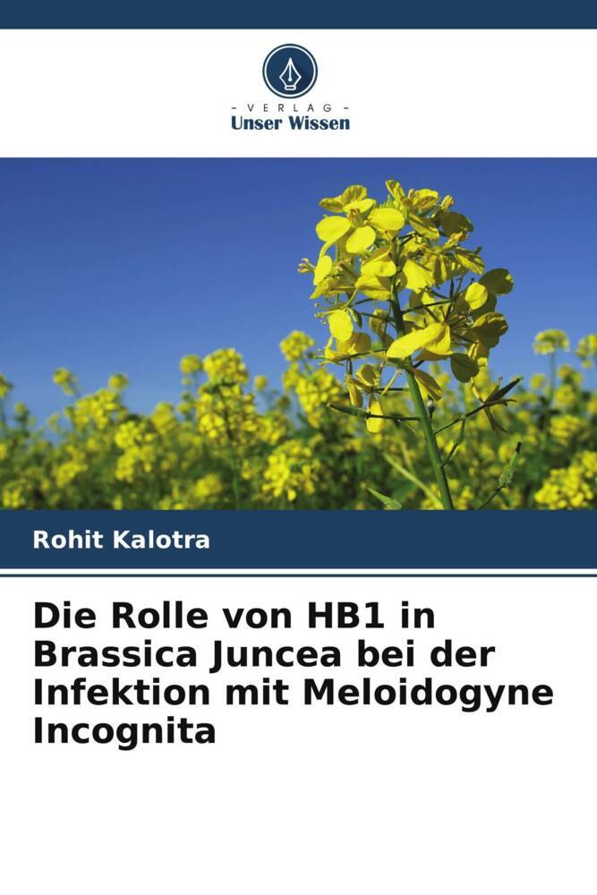 Die Rolle von HB1 in Brassica Juncea bei der Infektion mit Meloidogyne Incognita