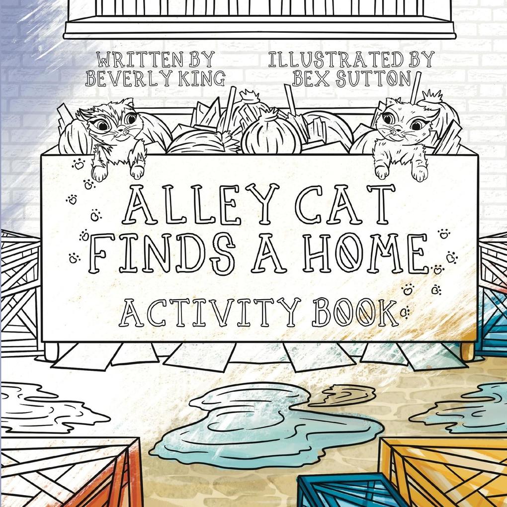 Alley Cat Finds A Home