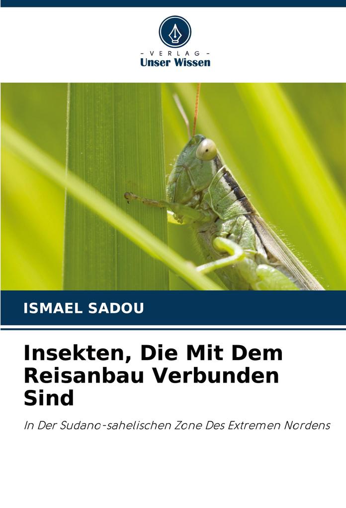 Insekten Die Mit Dem Reisanbau Verbunden Sind