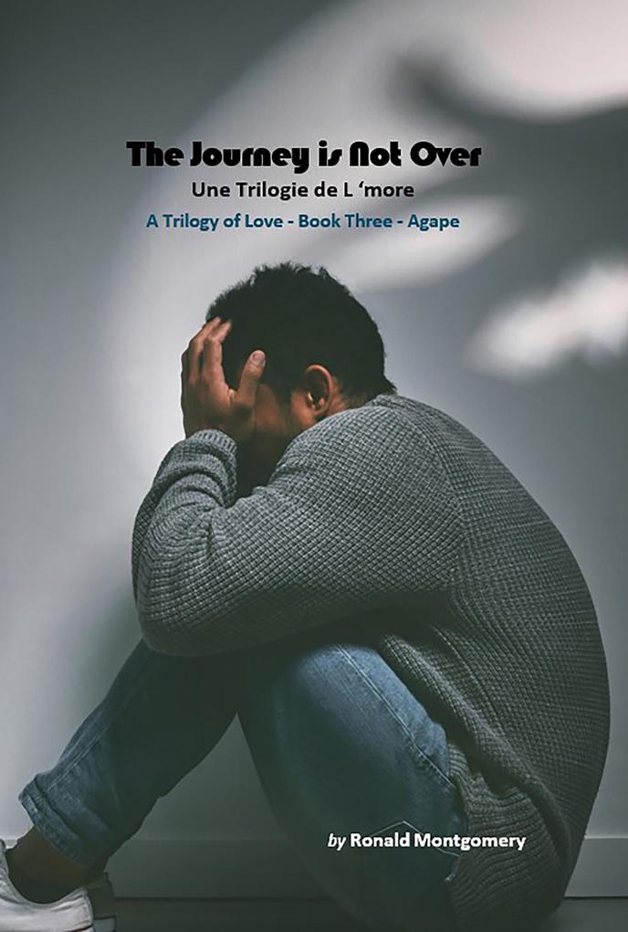 The Journey is Not Over (Book Three - Love Trilogy - Agape #3)