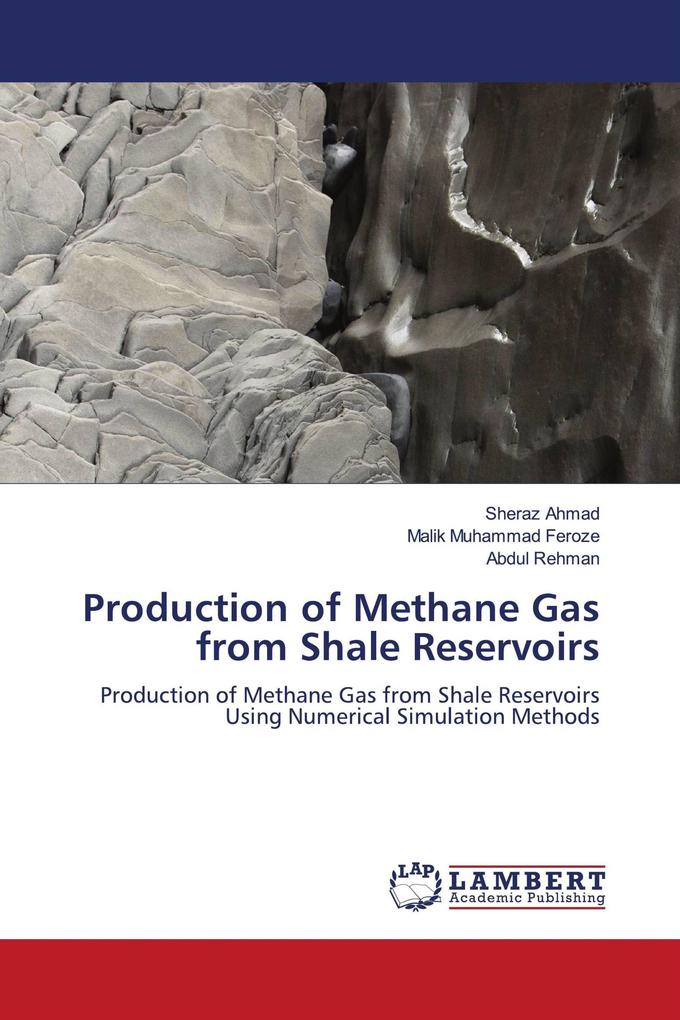 Production of Methane Gas from Shale Reservoirs
