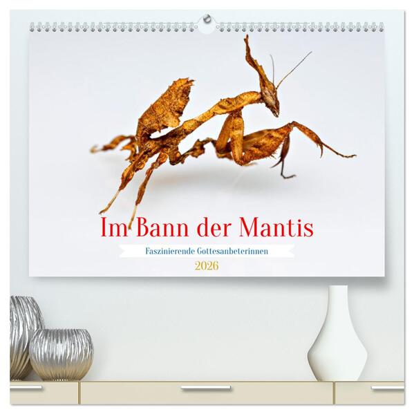 Im Bann der Mantis (hochwertiger Premium Wandkalender 2026 DIN A2 quer) Kunstdruck in Hochglanz