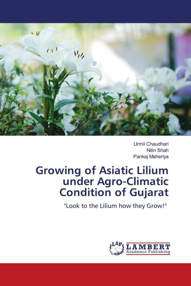 Growing of Asiatic Lilium under Agro-Climatic Condition of Gujarat