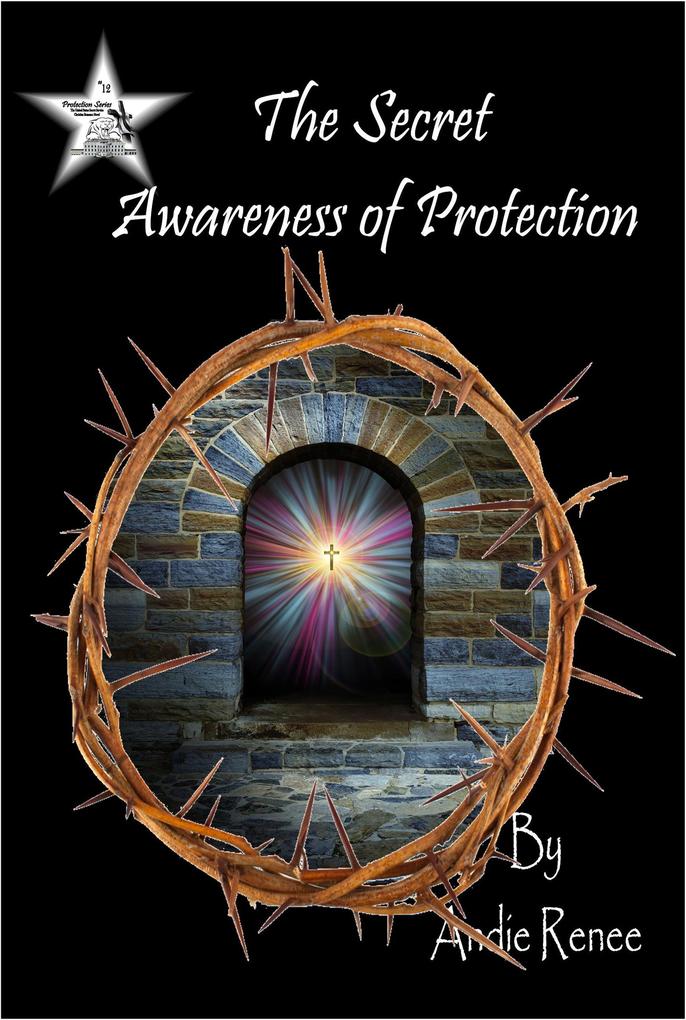The Secret Awareness of Protection (Protection Series #12)