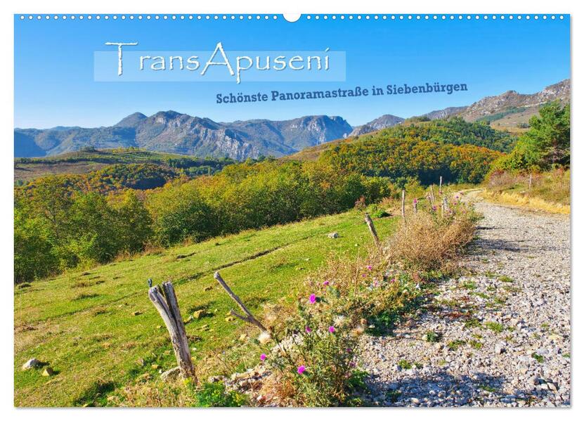 TransApuseni - Schönste Panoramastraße in Siebenbürgen (Wandkalender 2026 DIN A2 quer) CALVENDO Monatskalender
