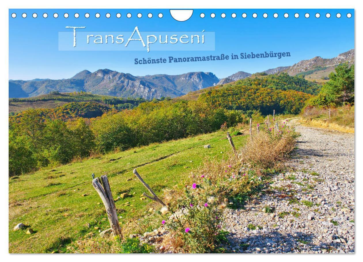 TransApuseni - Schönste Panoramastraße in Siebenbürgen (Wandkalender 2026 DIN A4 quer) CALVENDO Monatskalender