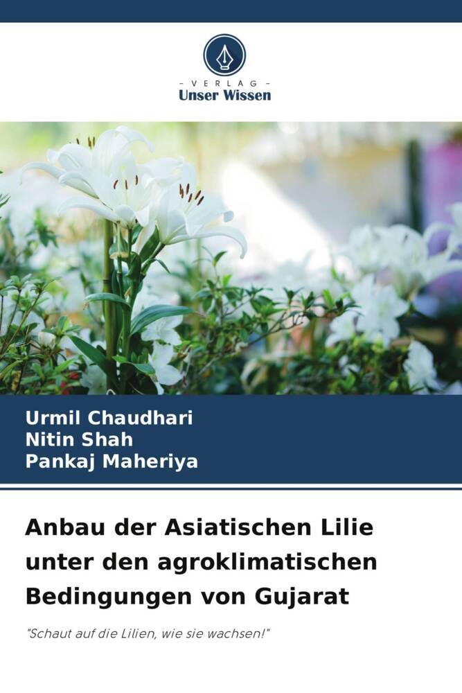 Anbau der Asiatischen Lilie unter den agroklimatischen Bedingungen von Gujarat