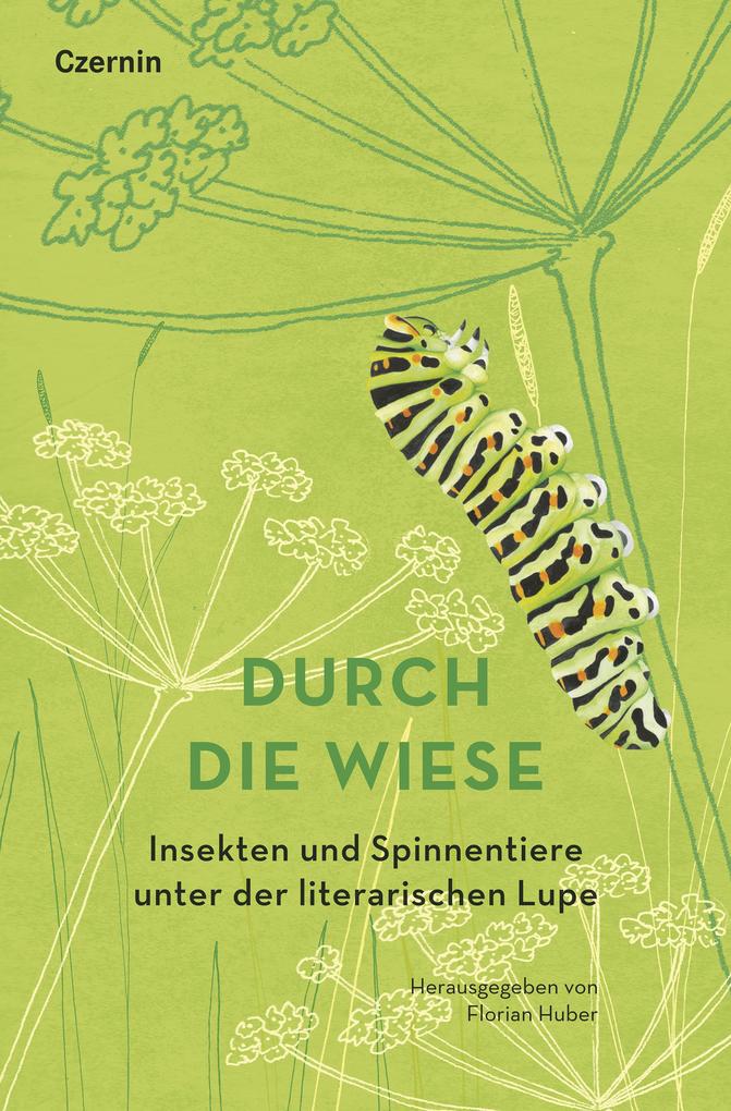 Durch die Wiese