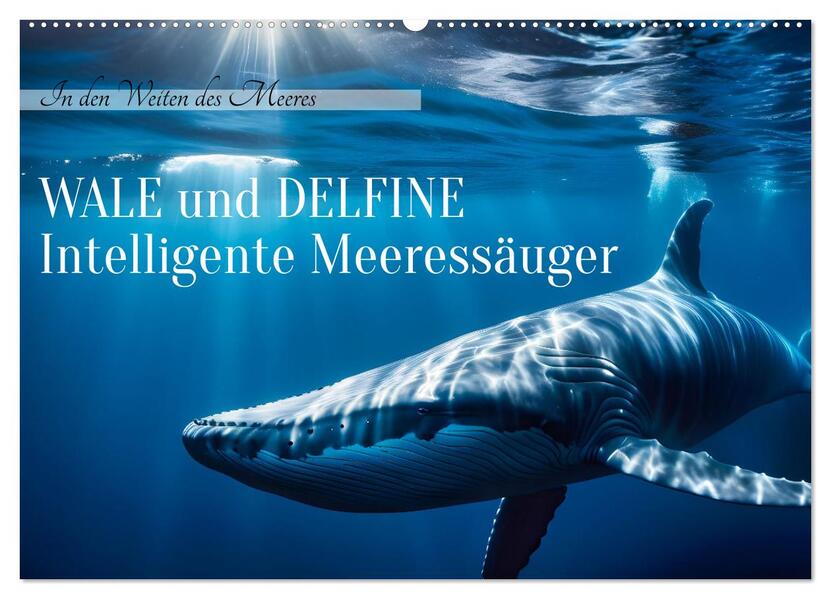 Wale und Delfine - Intelligente Meeressäuger (Wandkalender 2026 DIN A2 quer) CALVENDO Monatskalender