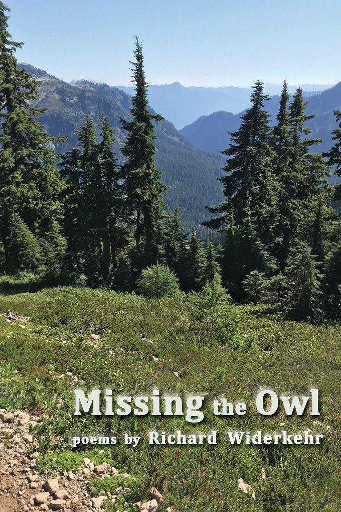 Missing the Owl