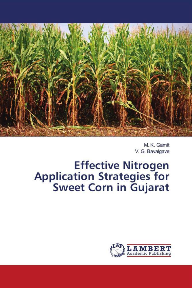 Effective Nitrogen Application Strategies for Sweet Corn in Gujarat