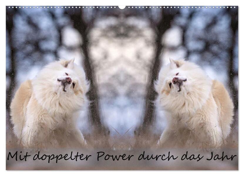 Mit doppelter Power durch das Jahr (Wandkalender 2026 DIN A2 quer) CALVENDO Monatskalender