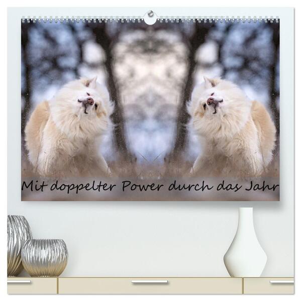 Mit doppelter Power durch das Jahr (hochwertiger Premium Wandkalender 2026 DIN A2 quer) Kunstdruck in Hochglanz