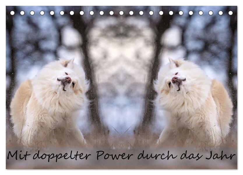 Mit doppelter Power durch das Jahr (Tischkalender 2026 DIN A5 quer) CALVENDO Monatskalender