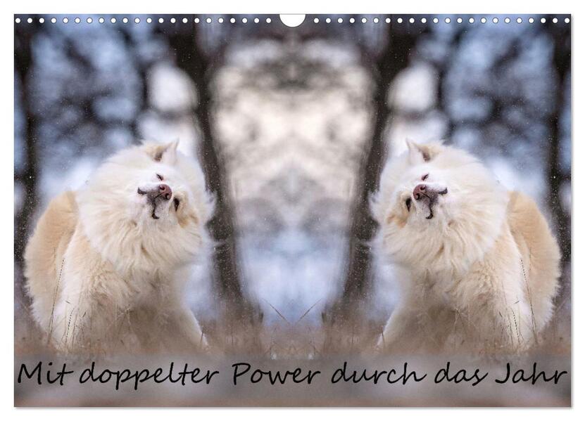 Mit doppelter Power durch das Jahr (Wandkalender 2026 DIN A3 quer) CALVENDO Monatskalender
