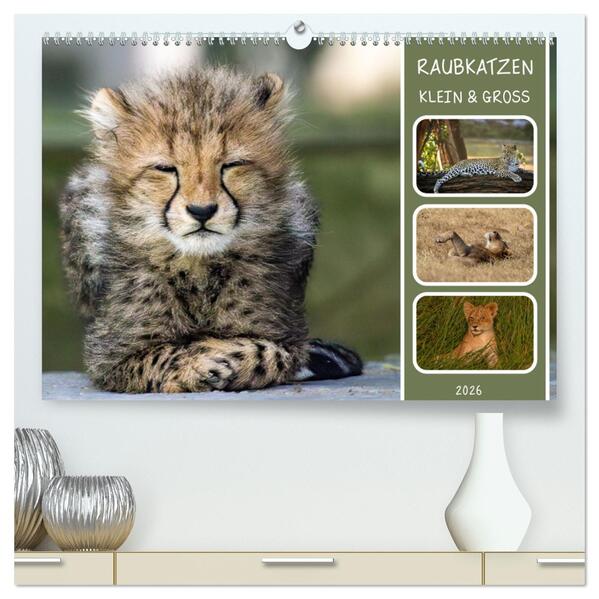 Raubkatzen - groß & klein (hochwertiger Premium Wandkalender 2026 DIN A2 quer) Kunstdruck in Hochglanz