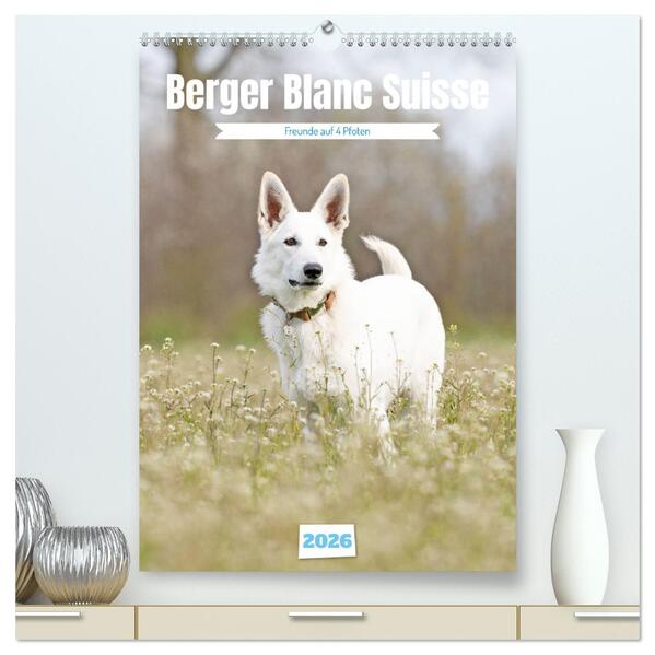 Berger Blanc Suisse - Freunde auf 4 Pfoten (hochwertiger Premium Wandkalender 2026 DIN A2 hoch) Kunstdruck in Hochglanz