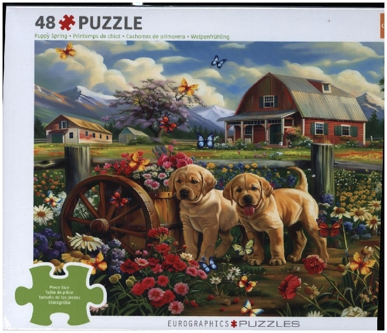 CP48 - Puppy Spring by Shawna Steward