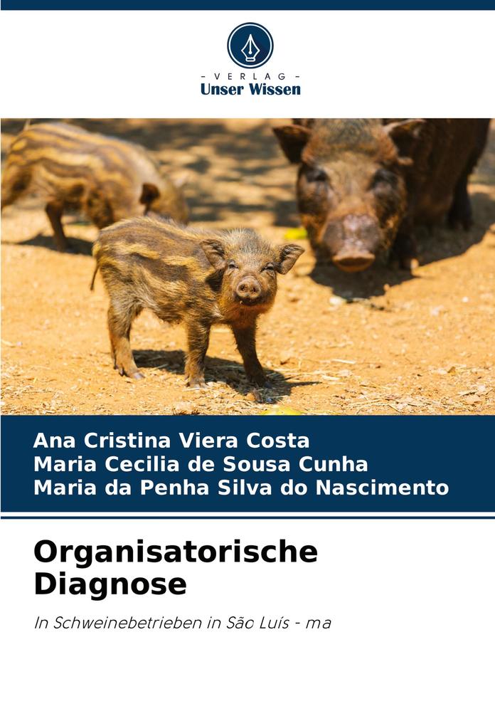 Organisatorische Diagnose