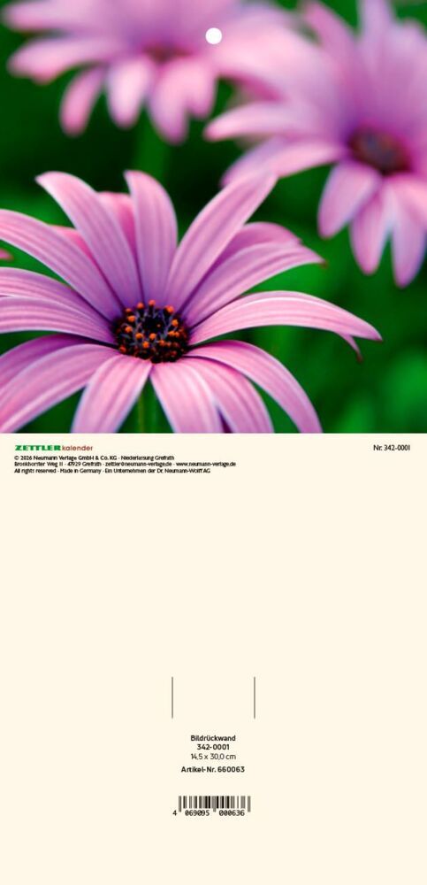 ZETTLER Bildrückwände für Typ 301 und 302 Blumen sortiert