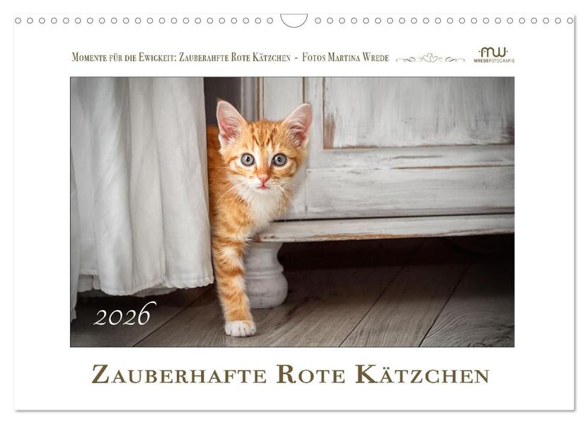 Zauberhafte rote Kätzchen (Wandkalender 2026 DIN A3 quer) CALVENDO Monatskalender