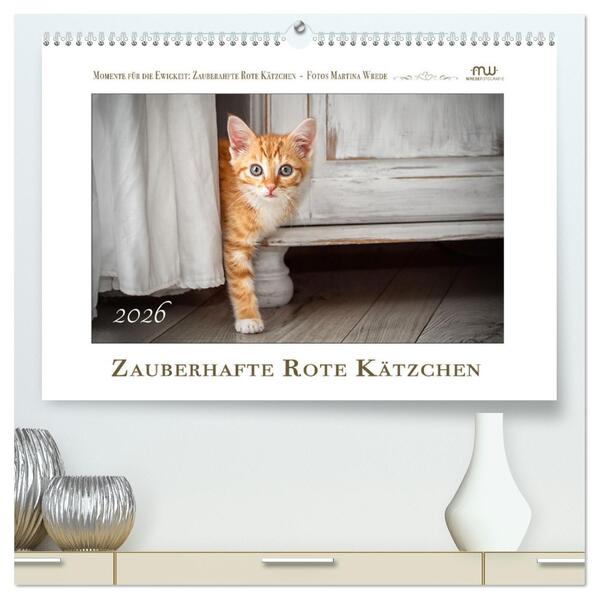 Zauberhafte rote Kätzchen (hochwertiger Premium Wandkalender 2026 DIN A2 quer) Kunstdruck in Hochglanz