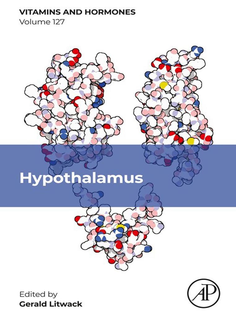 Hypothalamus