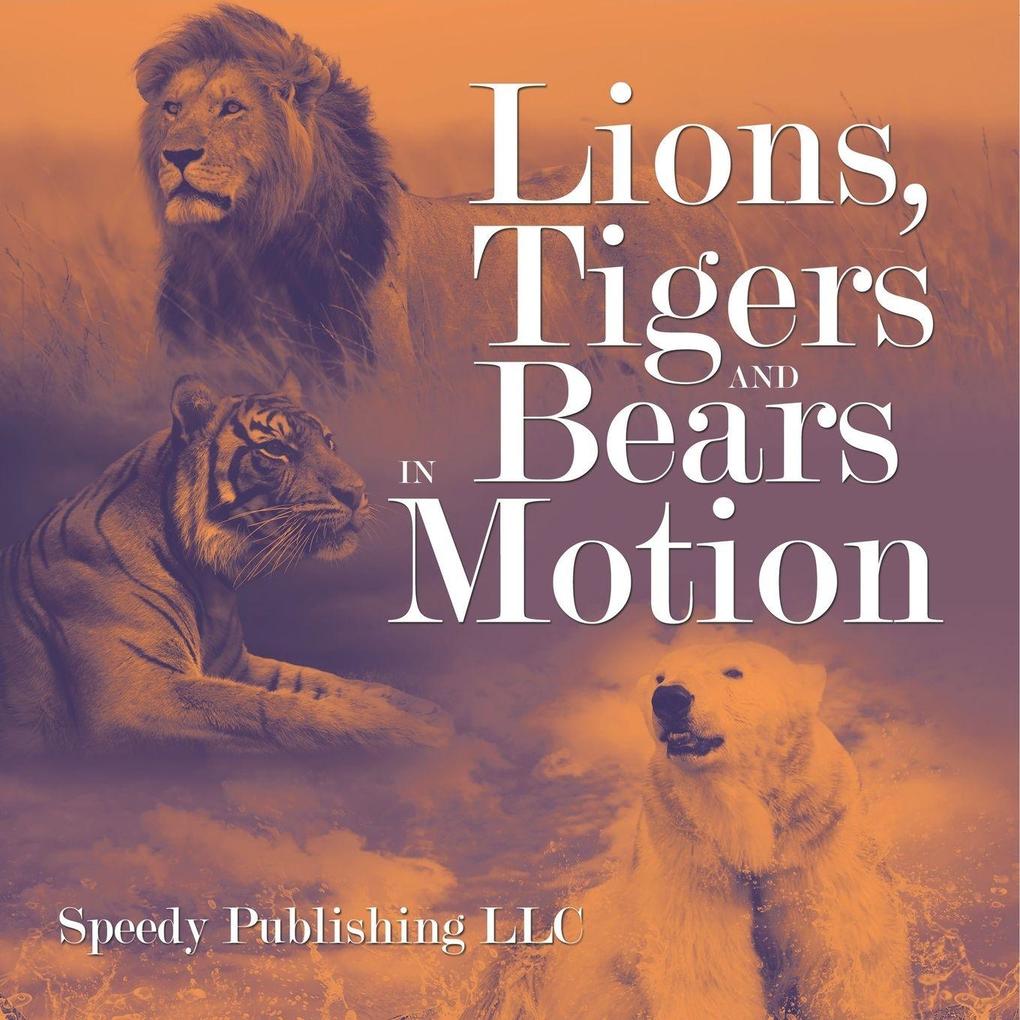 Lions Tigers And Bears In Motion