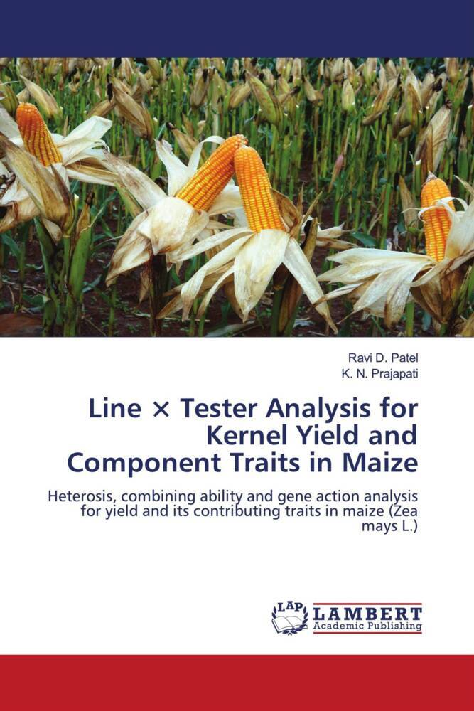 Line × Tester Analysis for Kernel Yield and Component Traits in Maize