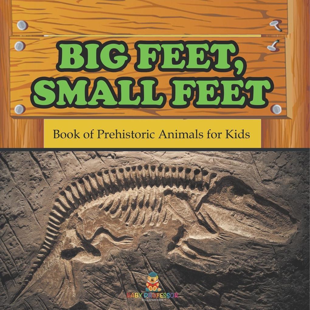 Big Feet Small Feet