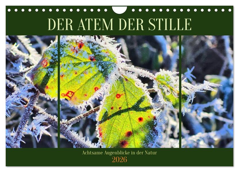 Der Atem der Stille - Achtsame Augenblicke in der Natur (Wandkalender 2026 DIN A4 quer) CALVENDO Monatskalender
