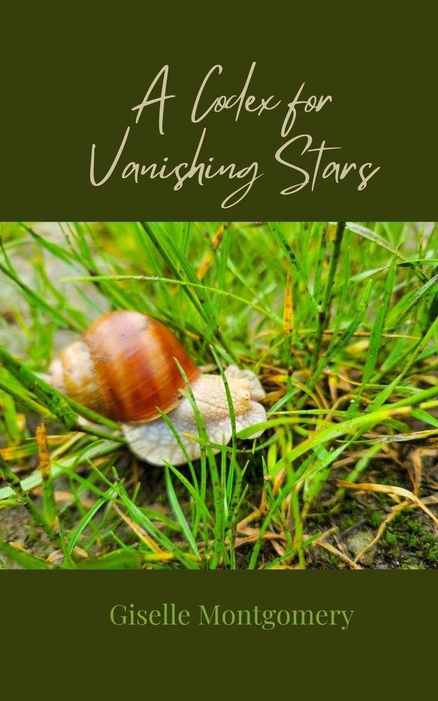 A Codex for Vanishing Stars