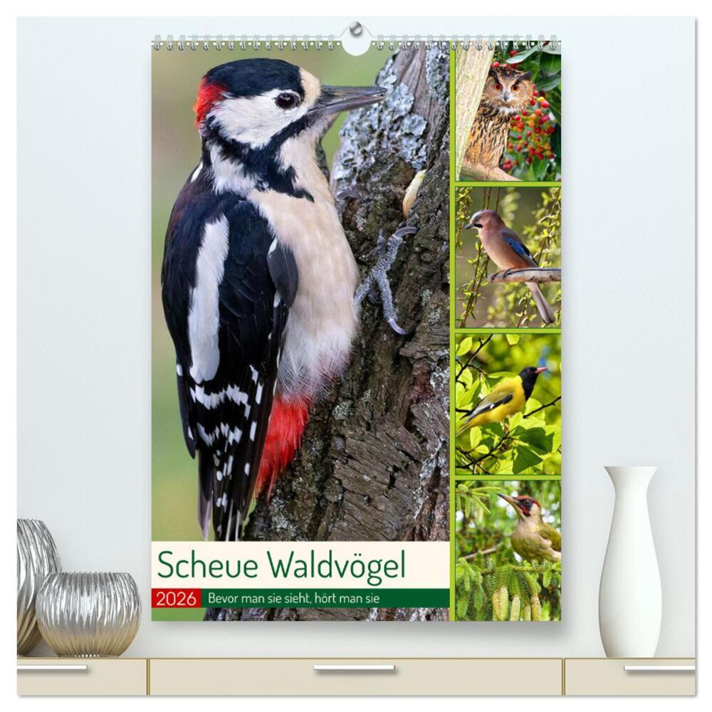 Scheue Waldvögel (hochwertiger Premium Wandkalender 2026 DIN A2 hoch) Kunstdruck in Hochglanz