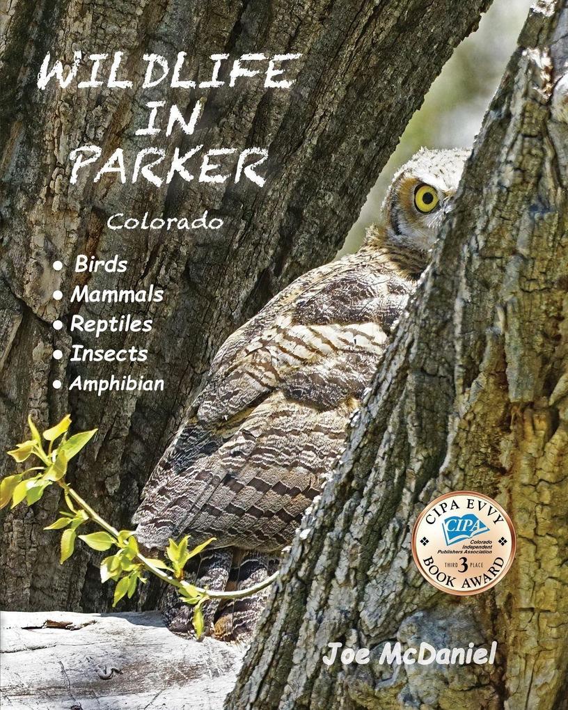 Wildlife In Parker
