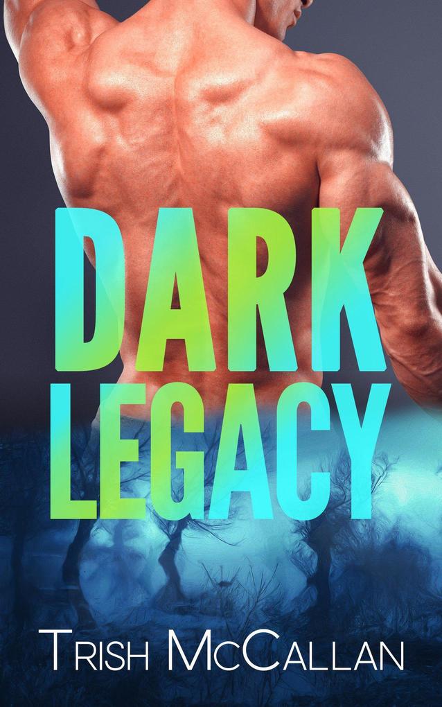 Dark Legacy (Dark Falls CO Romantic Thriller #3)