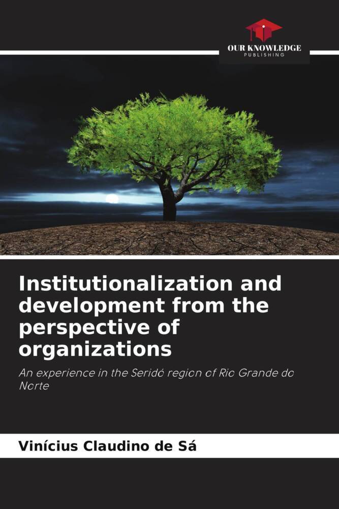 Institutionalization and development from the perspective of organizations