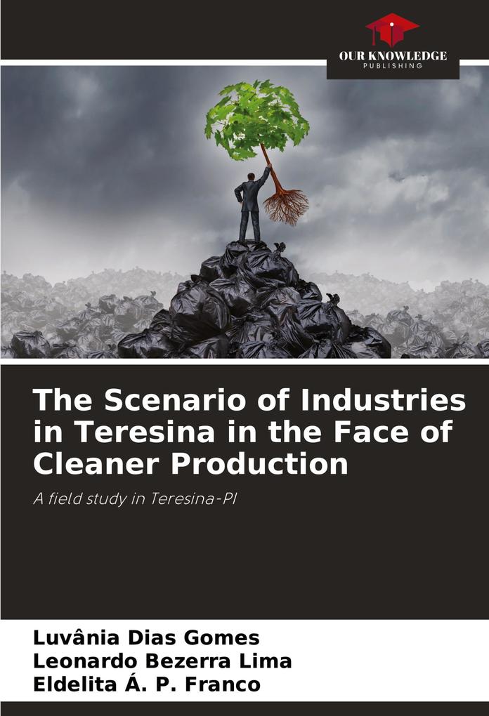 The Scenario of Industries in Teresina in the Face of Cleaner Production