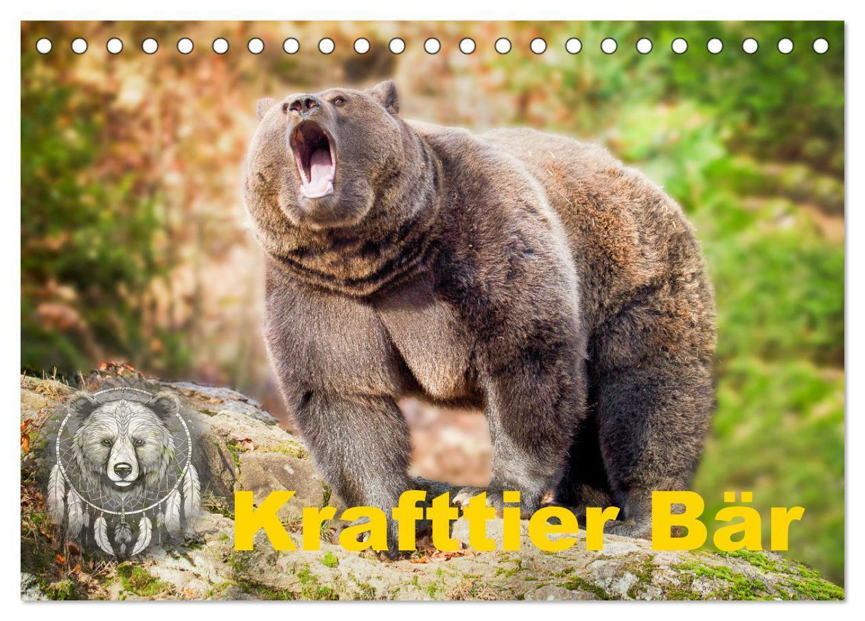 Krafttier Bär (Tischkalender 2026 DIN A5 quer) CALVENDO Monatskalender